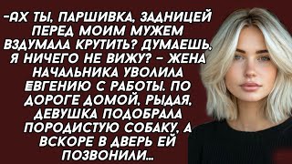 -Ах ты, паршивка, задницей перед моим мужем вздумала крутить? Думаешь, я ничего не вижу?