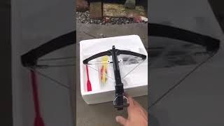 小弩霸 国产弓弩 十字弓 弓弩 crossbow 上品户外赵子香 电联 15937125258