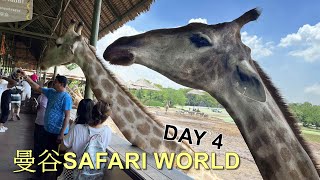 2023 泰國曼谷 (DAY 4) 全亞洲最大動物園 SAFARI WORLD / MARINE PARK / 野生動物近距離觀賞 / 長頸鹿餵食.....兩大園區遊玩足一天。