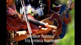 Los Mejores Huapangos Huastecos del Trío Armonía Huasteca