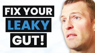 THESE Are the Top Foods & Supplements for Getting Rid of LEAKY GUT | Dr. Josh Axe