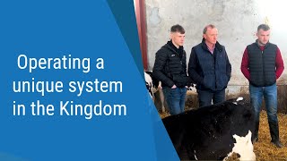 Dairy Focus: Operating a unique system in the Kingdom