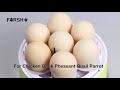 forshe 7 eggs incubator for chicken quail