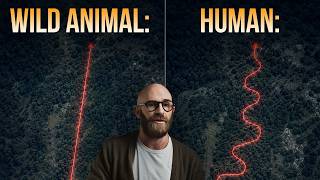 Things Humans Are Terrible At.