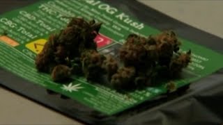 Push for marijuana reform continues