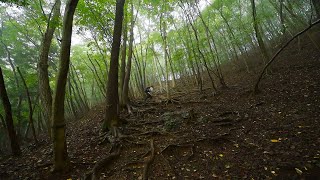 【登山】久しぶりの登山｜埼玉で低山ハイク、伊豆ヶ岳！