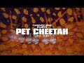 twenty one pilots : Pet Cheetah (Lyric Video)