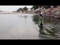 swimming in the timeless ganges at haridwar