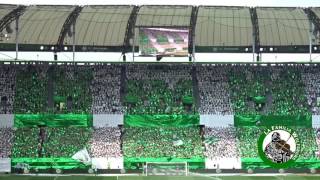 33. Spieltag VfL Wolfsburg vs. Borussia Mönchengladbach