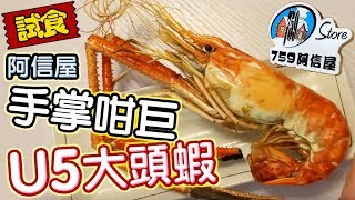 【日日超市】試食阿信屋 手掌咁巨U5大頭蝦🦐 2019.2.28