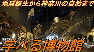 【自然史】地球の誕生から神奈川まで分かりやすく展示している、神奈川県立生命の星・地球博物館に行ってきました！