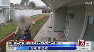 Utility worker pepper sprays dogs