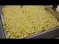 manufacturing scenery how to make “super sour” lemon salt candy kyoto japan