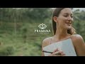 Celebrating 11 Years of Pramana Experience: Pramana Experience Brand Value
