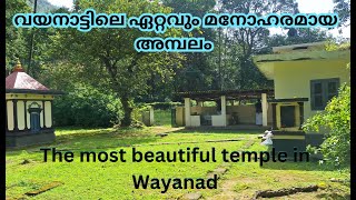 വയനാടൻ കാടിനുള്ളിലെ മനോഹരമായ ഒരമ്പലം||the most beautiful temple in wayanad #wayanad