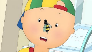 Caillou and the Bee | Caillou - WildBrain