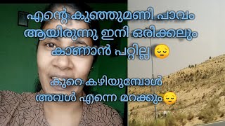 എന്റെ ദുബായ് ജീവിതത്തിൽ ഞാൻ ഫാസ്റ്റ് ജോലി ചെയ്തവീട്ടിൽ നിന്ന് പോന്നപ്പോൾ😔suchitrashamas#