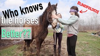 Guess the horse BLINDFOLDED -- OR walk through the mud BAREFOOT!!