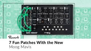 7 Fun Patches With the New Moog Mavis