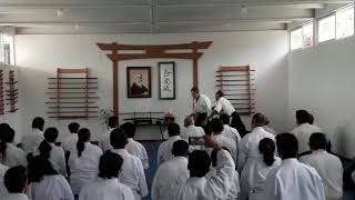 Seminario Aikido Steve Pimsler(6)