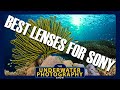 Best Lenses For Full Frame Sony Mirrorless Cameras Underwater.