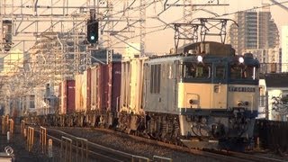 鹿島貨物71レ 原色 EF64 1006牽引で小岩通過 [2012.12.21]