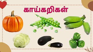 காய்கறிகளின் பெயர்கள் /காய் காய் காய்கறிகள் /Learn vegtable name in tamil for kids and children