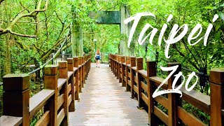 Taipei Zoo Part 1台北動物園 その1 | Wenshan District | Taipei City Taiwan | Walk tour 2023