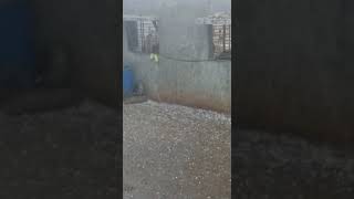 Awesome hailstorm in jalna, Maharashtra