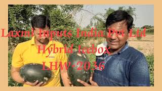 Laxmi Inputs India Pvt Ltd                         F-1 LHW-2036 (Icebox)