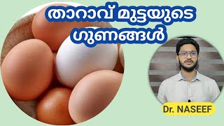 താറാവ് മുട്ടയുടെ ഗുണങ്ങൾ|health benefit of duck eggs in malayalam