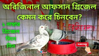 অরিজিনাল গ্রিজেল কেমন করে চিনবেন? আফসান গ্রিজেল কেনার আগে জেনে নিন।