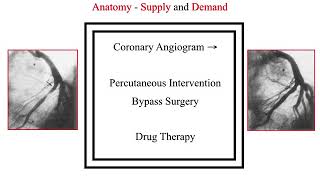 Integrative Cardiology for the Chelation Physician - Part One