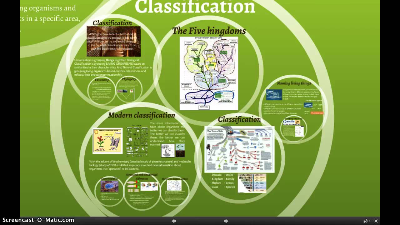 Classification Youtube