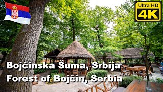 Bojčinska šuma, Srbija - Forest of Bojčin, Serbia -  part 2.