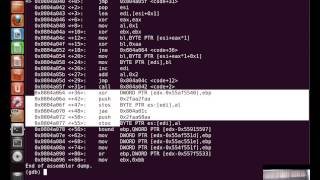 [SecurityTube.net] Writing an Custom Insertion Encoder