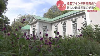 北海道大学で最古の建物がワイン研究の拠点に…北海道をワインバレー変える“アンビシャス”とは？