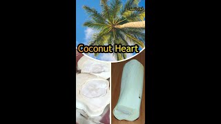 ತೆಂಗಿನ ಮರದ ತಿರುಳು ಬಿಡಿಸುವ ವಿಧಾನ | Coconut Heart | Core of Coconut | How to take core of coconut