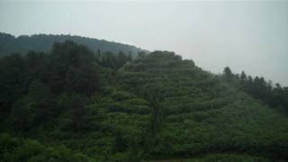 Tea Mountain, Yongchuan, Chongqing