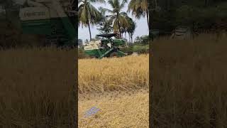 நெல் அறுக்கும் இயந்திரம் மூலம் அறுவடை🌾🌾🌾🌾🌾 👳‍♀️🦚💯🌾🌿