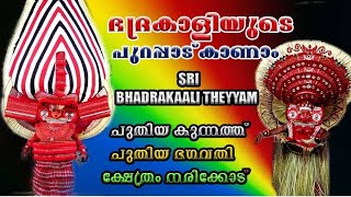 പുതിയ കുന്നത്ത് പുതിയ ഭഗവതികാവിലെ ഭദ്രകാളിയെ കാണാം Puthiya Kunnath Puthiya Bhagavathi Bhadrakali