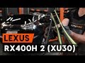 How to change wipers blades / window wipers LEXUS RX400h 2 (XU30) [TUTORIAL AUTODOC]