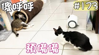 MiMi醬小短篇#173-歐巴上半身躲在隧道裡 妞妹想要偷襲