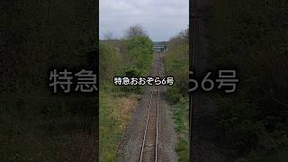 十勝清水を走る特急おおぞら6号 #shorts #jr北海道 #キハ261系 #鉄道 #根室本線 #十勝清水