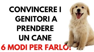 Convincere i genitori a prendere un cane: 6 modi per farlo e i motivi per non farlo!