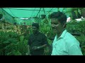 ரூ.5 முதல் செடிகள் best u0026 cheapest nursery for indoor u0026 outdoor house landscaping mano s try