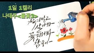 나태주 풀꽃3, 귀여운 꽃그림 캘리그라피 How to make a pretty postcard.