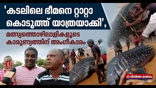 വലയിൽ കുടുങ്ങിയ തിമിംഗല സ്രാവിന് രക്ഷകരായി കടലിന്റെ  മക്കൾ