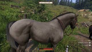 Kingdom Come Deliverance 2: Best Horse Trosky map