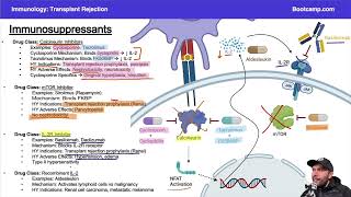 Immunosuppressant Pharmacology for Step 1 | Immunology | Med School Bootcamp